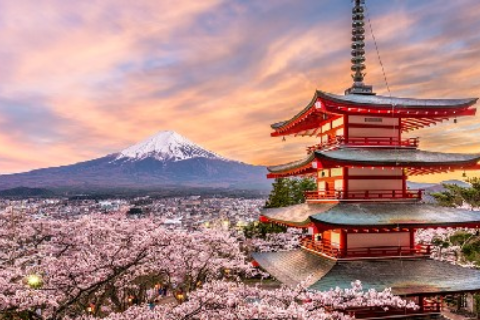 Japan tour packages