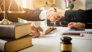 litigation expert witnesses